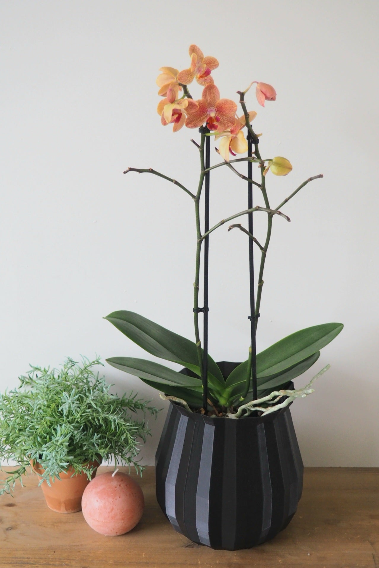 Geometric orchid planter