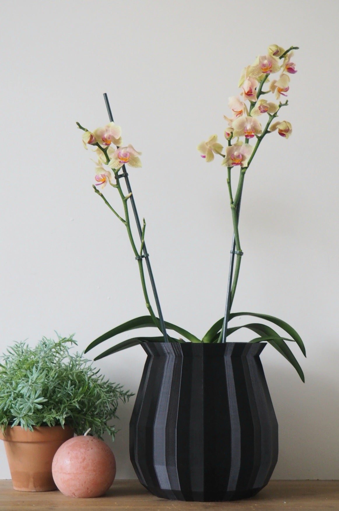 Geometric orchid planter